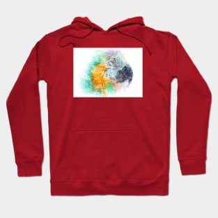 Parrot Head Hoodie